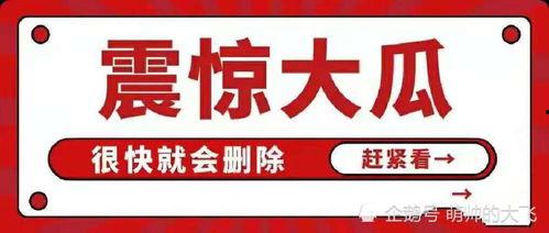 娱乐八卦每日吃瓜汇总,盘点娱乐圈最新热点，揭秘明星幕后故事